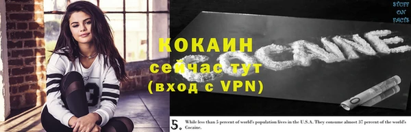 соль ск Алексин