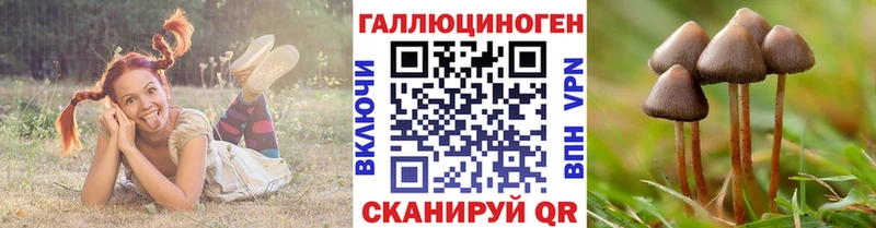 Галлюциногенные грибы Magic Shrooms  Духовщина 